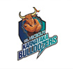 karanataka bulldozers logo