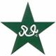 Pakistan Team Logo